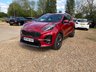 USED 2019 68 KIA SPORTAGE 1.6 CRDi GT-Line DCT Euro 6 (s/s) 5dr Full Service History, Long MOT