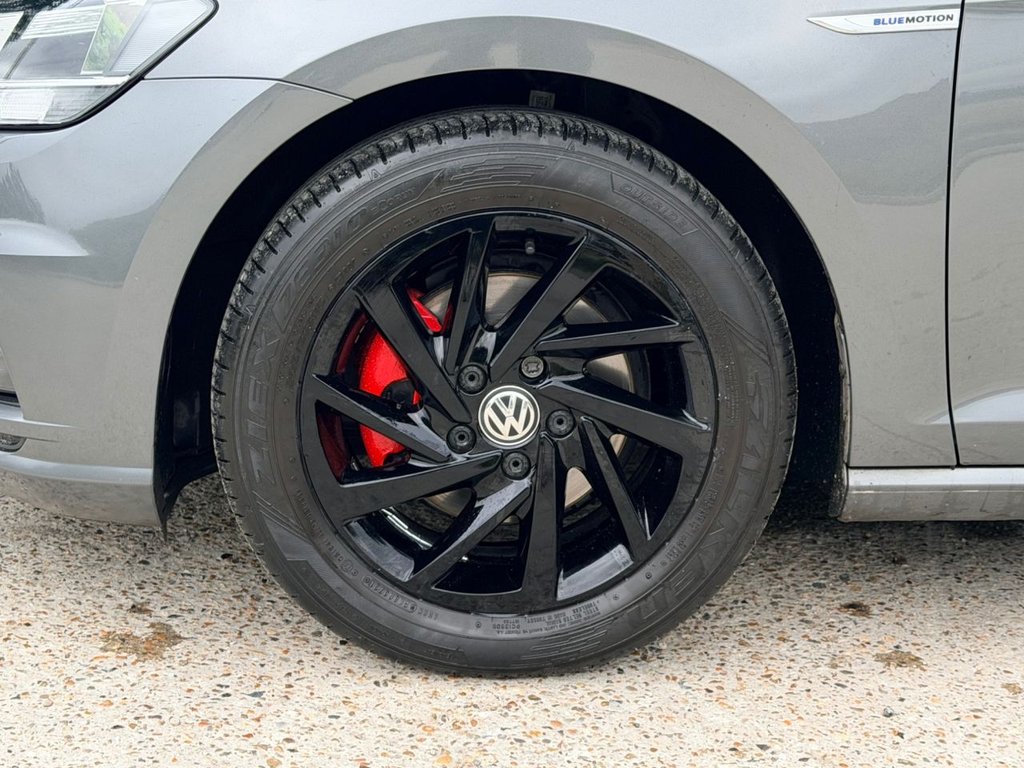 USED 2019 19 VOLKSWAGEN GOLF 1.5 TSI EVO Match Hatchback 5dr Petrol Manual Euro 6 (s/s) (130 ps) 7 Services|SatNav|Adp.Cruise|R.F Sensors|Apple CarPlay/Android Auto|