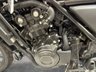 USED 2024 24 HONDA CL500 FINANCE SPECIALISTS APPLY NOW LOW RATE FINANCE DELIVERY AVAILABLE