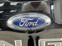 USED 2019 69 FORD RANGER 2.0 EcoBlue Wildtrak Pickup Double Cab 4dr Diesel Auto 4WD Euro 6 (s/s) (213 ps) 