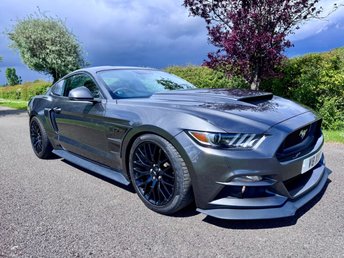 View our FORD MUSTANG