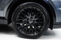 USED 2017 67 AUDI Q3 2.0 TDI Black Edition S Tronic quattro Euro 6 (s/s) 5dr BLACK EDITION | BOSE | NAV