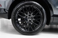 USED 2017 67 AUDI Q3 2.0 TDI Black Edition S Tronic quattro Euro 6 (s/s) 5dr BLACK EDITION | BOSE | NAV