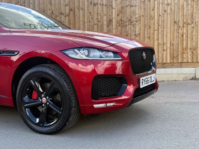 View our JAGUAR F-PACE