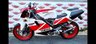 USED 1993 L YAMAHA TZR250 TZR250 TZR250RS the final evolution of Yamaha's street legal GP replica.