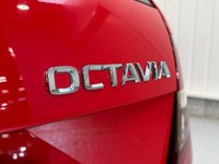 USED 2019 69 SKODA OCTAVIA 2.0 TSI GPF vRS Estate 5dr Petrol Manual 245 bhp 