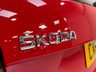 USED 2019 69 SKODA OCTAVIA 2.0 TSI GPF vRS Estate 5dr Petrol Manual 245 bhp 