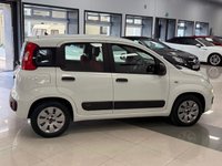 USED 2017 17 FIAT PANDA 1.2 Pop Hatchback 5dr Petrol Manual Euro 6 (69 bhp) 