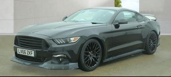 View our FORD MUSTANG