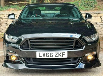 View our FORD MUSTANG