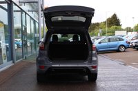 USED 2019 69 FORD KUGA 2.0 TDCi EcoBlue ST-Line Edition SUV 5dr Diesel Manual Euro 6 (s/s) (150 ps) - EURO 6 - ULEZ, SAT NAV, LEATHER/ALCANTARA, PAN ROOF, APPLE/ANDROID CARPLAY, 19" ALLOYS, P/SENSORS, P/ASSIST, CRUISE, DAB & BLUETOOTH