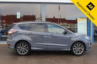USED 2019 69 FORD KUGA 2.0 TDCi EcoBlue ST-Line Edition SUV 5dr Diesel Manual Euro 6 (s/s) (150 ps) - EURO 6 - ULEZ, SAT NAV, LEATHER/ALCANTARA, PAN ROOF, APPLE/ANDROID CARPLAY, 19" ALLOYS, P/SENSORS, P/ASSIST, CRUISE, DAB & BLUETOOTH