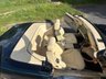 USED 1999 T MERCEDES-BENZ SL 3.2 SL320 Convertible 2dr Petrol Automatic (274 g/km, 224 bhp) 