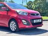 USED 2013 13 KIA PICANTO 1.25 EcoDynamics 2 Hatchback 5dr Petrol Manual Euro 5 (s/s) (84 bhp) lovely example! popular hatch! low running costs! ulez! ideal first car or run around!