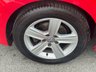 USED 2014 64 VOLKSWAGEN GOLF 1.6 TDI BlueMotion Tech Match Hatchback 5dr Diesel DSG Euro 5 (s/s) (105 ps) AUTO -- &pound;20 TAX -- FULL SERVICE HISTORY -- AD. CRUISE CONTROL