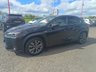 USED 2023 LEXUS UX 2.0 250h F Sport Design SUV 5dr Petrol Hybrid E-CVT Euro 6 (s/s) (184 ps) 