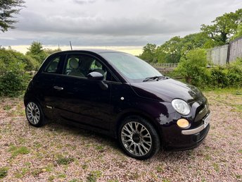 View our FIAT 500