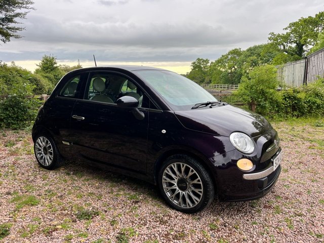 View our FIAT 500