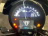 USED 2023 23 TRIUMPH Trident 660 FINANCE SPECIALISTS APPLY NOW LOW RATE FINANCE DELIVERY AVAILABLE