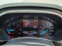 USED 2020 20 FORD FOCUS 1.5 Focus Titanium X TDCi Auto 5dr CLICK+COLLECT / HOME DELIVERY