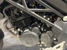 USED 2023 23 BENELLI Tornado Naked T 125 FINANCE SPECIALISTS APPLY NOW LOW RATE FINANCE DELIVERY AVAILABLE