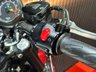 USED 2013 13 TRIUMPH BONNEVILLE T100 FINANCE SPECIALISTS APPLY NOW LOW RATE FINANCE DELIVERY AVAILABLE