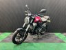 USED 2018 18 HONDA CBF300 FINANCE SPECIALISTS APPLY NOW LOW RATE FINANCE DELIVERY AVAILABLE