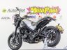 USED 2019 19 BENELLI LEONCINO 500 500 Naked Petrol Manual Euro 4 (47 ps) A2 licence. Finance. Nationwide delivery.