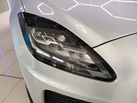 USED 2019 69 JAGUAR E-PACE 2.0 P200 R-Dynamic S SUV 5dr Petrol Auto AWD Euro 6 (s/s) (200 ps) Quality & Best value Assured