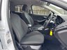 USED 2017 17 FORD FOCUS 1.5 TDCi Zetec Edition Hatchback 5dr Diesel Powershift Euro 6 (s/s) (120 ps) 