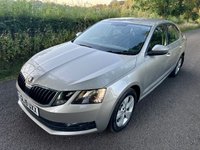 USED 2019 19 SKODA OCTAVIA 1.0 TSI GPF SE Technology Hatchback 5dr Petrol Manual Euro 6 (s/s) (115 ps) + SERVICE HISTORY + 16" ALLOY WHEELS + SIX (6) SPEED MANUAL GEARBOX + DAYTIME RUNNING LIGHTS + SATELLITE NAVIGATION + AUTO HEADLIGHTS + FRONT AND REAR PARKING SENSORS + DUAL CLIMATE CONTROL + CRUISE CONTROL + BLUETOOTH / TELEPHONE PREPARATION + RADIO / USB / DAB / MP3 PLAYER + MUCH MUCH MORE...