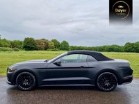 USED 2016 M FORD MUSTANG 5.0 V8 GT Convertible 2dr Petrol SelShift Euro 6 (416 bhp) FINANCE AVAILABLE
