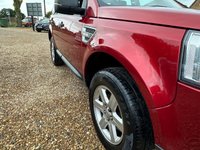 USED 2009 09 LAND ROVER FREELANDER 2 2.2 TD4e GS SUV 5dr Diesel Manual 4WD Euro 4 (s/s) (160 ps) 