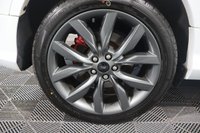 USED 2019 19 FORD KUGA 1.5T EcoBoost ST-Line Edition SUV 5dr Petrol Auto AWD Euro 6 (s/s) (176 ps) NEW MOT SERVICE AND HELATH CHECKED