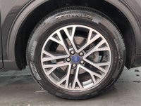 USED 2021 21 FORD KUGA 1.5 Kuga Titanium Edition EcoBlue Auto 5dr CLICK+COLLECT / HOME DELIVERY