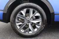 USED 2023 23 KIA SPORTAGE 1.6 h T-GDi GT-Line S 5dr Auto (SUNROOF, HEATED SEATS) 