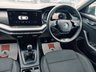 USED 2023 23 SKODA OCTAVIA 2.0 TDI SE Technology Hatchback 5dr Diesel Manual Euro 6 (s/s) (116 ps) 