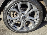USED 2019 19 FORD FIESTA 1.0T EcoBoost GPF ST-Line Hatchback 5dr Petrol Auto Euro 6 (s/s) (100 ps) ST LINE - BEAUTIFUL EXAMPLE
