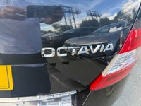 USED 2015 65 SKODA OCTAVIA VRS, 2.0 Turbo Diesel (TDI), 5 Door, Hatchback, Manual, Euro 6, �&pound;35 Yearly Road Tax (Low Emissions). FULL 12 MONTH MOT WITH EVERY CAR