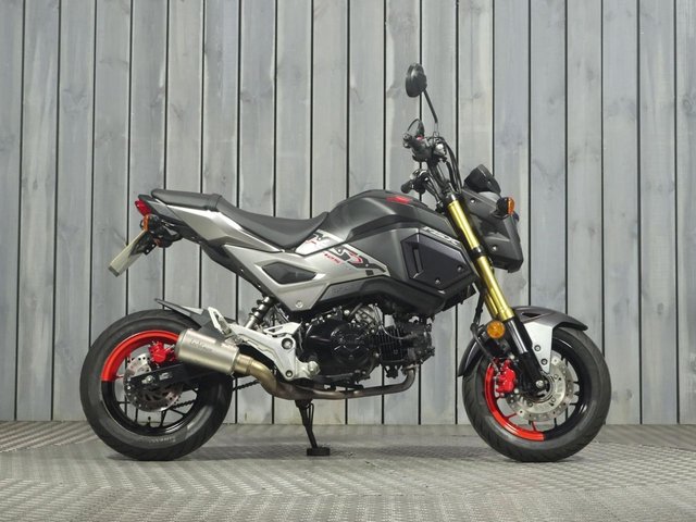 HONDA MSX125 at SuperBike Factory Trade