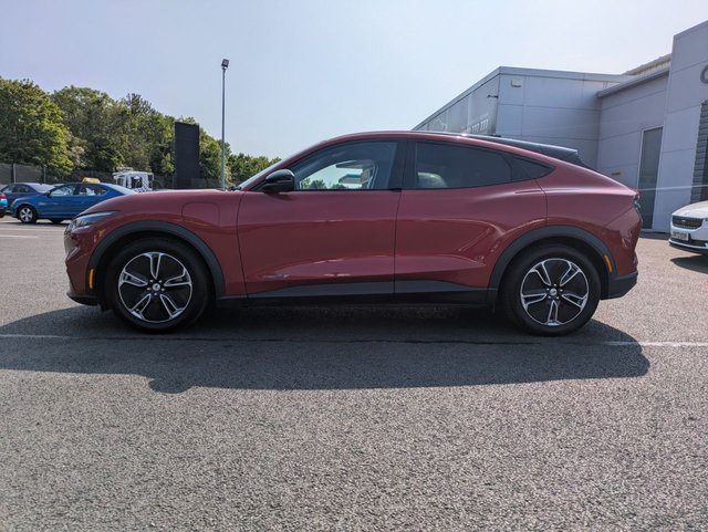 View our FORD MUSTANG MACH-E