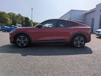 USED 2024 FORD MUSTANG MACH-E Standard Range 72kWh Select SUV 5dr Electric Automatic (269 ps) FULL ELECTRIC - NI REG!
