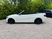 USED 2019 69 BMW 2 SERIES 1.5 218i GPF SE Convertible 2dr Petrol Manual Euro 6 (s/s) (136 ps) Award Winning Used Car Dealer Essex