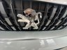 USED 2017 67 PEUGEOT EXPERT 1.6 BlueHDi 1000 S Standard Panel Van 6dr Diesel Manual MWB Euro 6 (95 ps) 