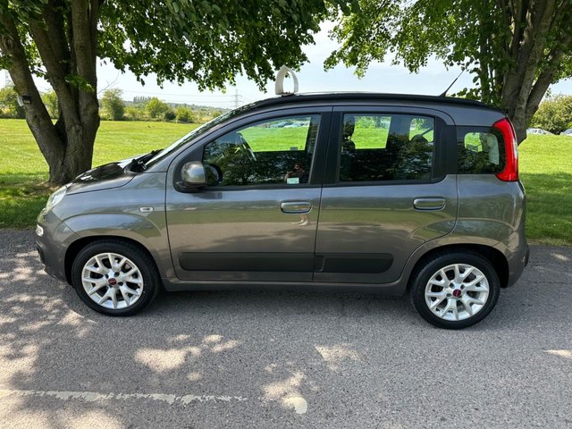 View our FIAT PANDA