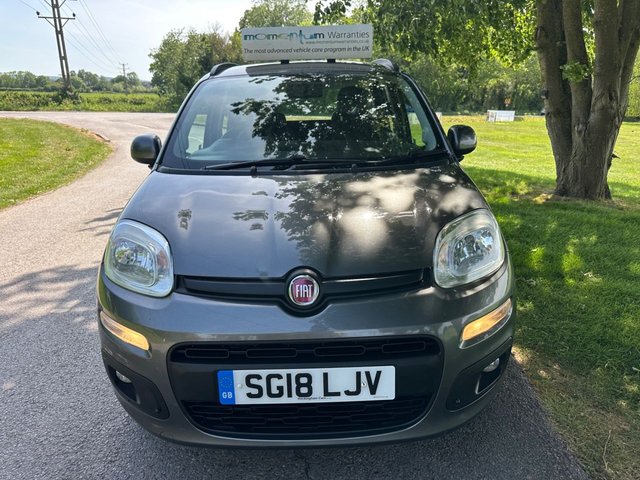 View our FIAT PANDA