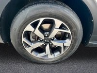 USED 2019 19 KIA SPORTAGE 1.6 GDi Edition 25 SUV 5dr Petrol Manual Euro 6 (s/s) (130 bhp) 