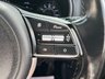 USED 2019 19 KIA SPORTAGE 1.6 GDi Edition 25 SUV 5dr Petrol Manual Euro 6 (s/s) (130 bhp) 