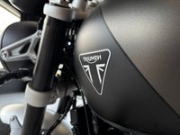 USED 2024 24 TRIUMPH SPEED TWIN 1200 1200 Roadster/Retro Petrol Manual O-ring Euro 5 (101 ps) 