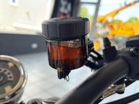 USED 2024 24 TRIUMPH SPEED TWIN 1200 1200 Roadster/Retro Petrol Manual O-ring Euro 5 (101 ps) 